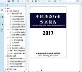 国产104页,深度解析我国科技发展的新篇章