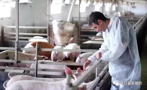 吃瓜猪娱乐多人产房,揭秘多人产房背后的故事与真相